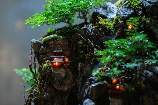 Comment construire une maison avec un constructeur de confiance?