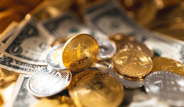 Bitcoin et au-delà : comprendre les principales crypto-monnaies du marché