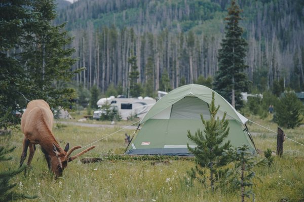 Camping en Dordogne: un séjour en pleine nature