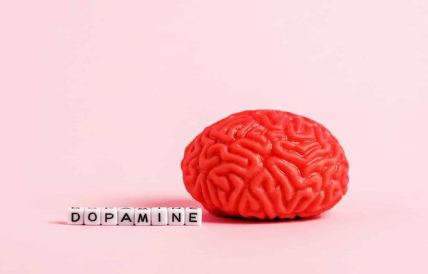 Quels sont les incovénients des dopamines sur le comportement humain?