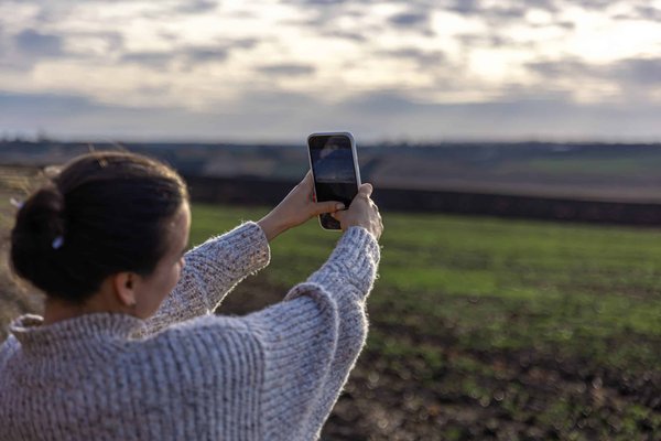 Comment mieux organiser les photos dans votre smartphone ?